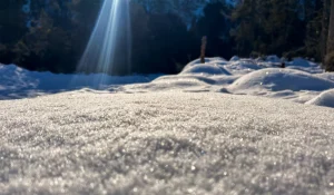 RauhNächte MenschSein Nächte Schnee Buch